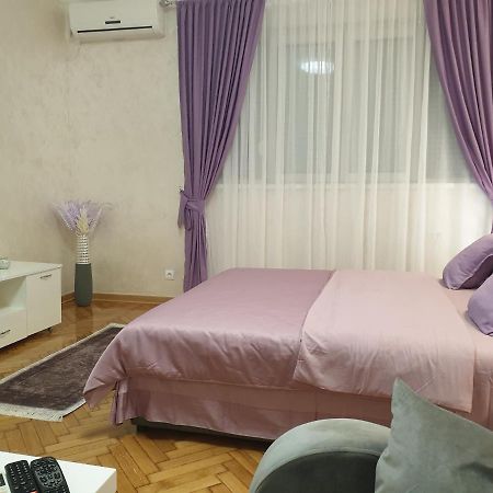 Elena Lux Apartment เบลเกรด ภายนอก รูปภาพ