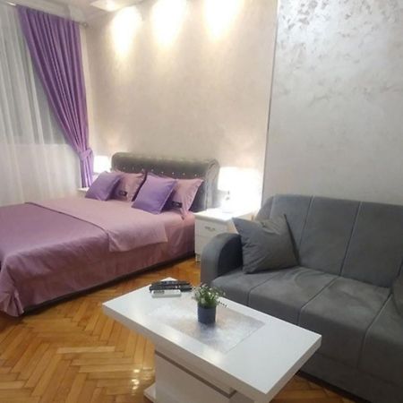 Elena Lux Apartment เบลเกรด ภายนอก รูปภาพ