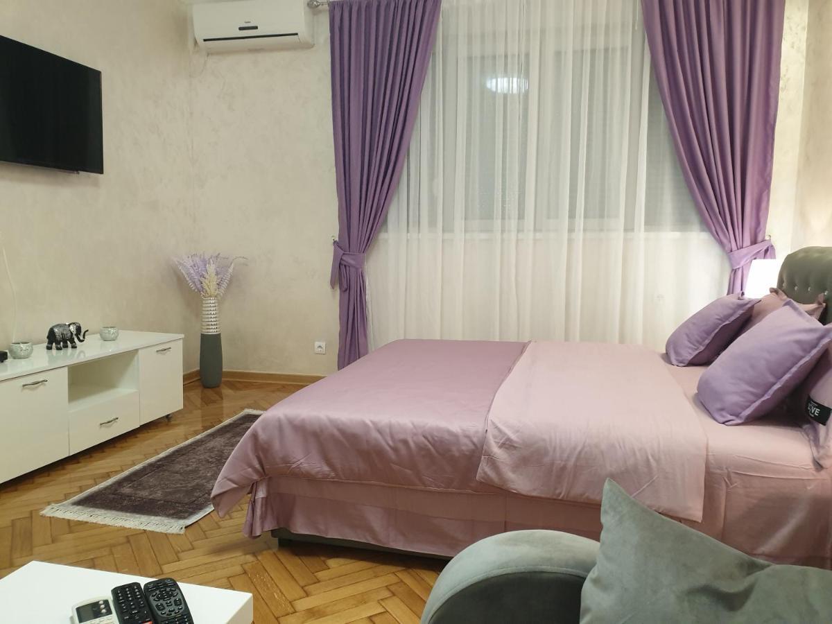 Elena Lux Apartment เบลเกรด ภายนอก รูปภาพ