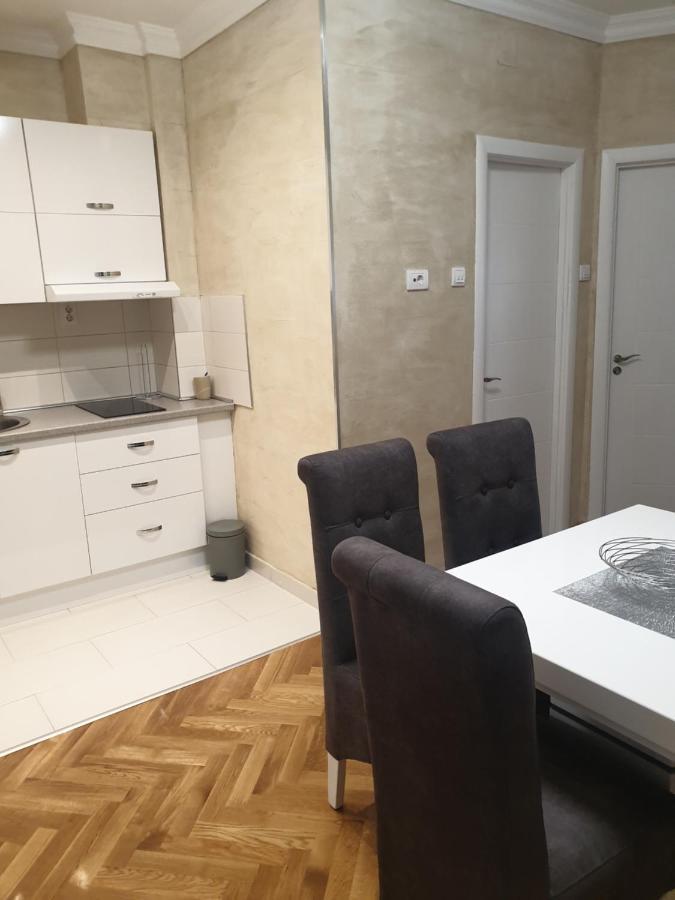 Elena Lux Apartment เบลเกรด ภายนอก รูปภาพ