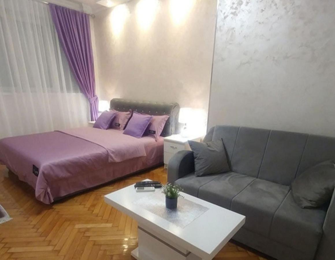 Elena Lux Apartment เบลเกรด ภายนอก รูปภาพ