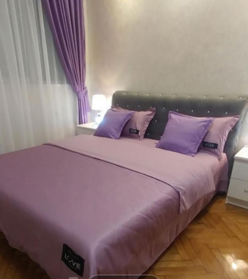 Elena Lux Apartment เบลเกรด ภายนอก รูปภาพ
