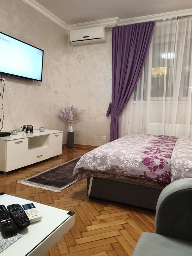 Elena Lux Apartment เบลเกรด ภายนอก รูปภาพ